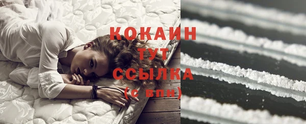 apvp Белокуриха