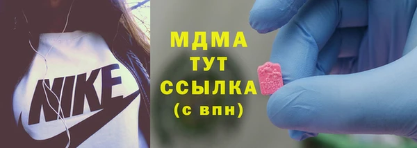 дживик Богородицк