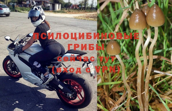 кокаин VHQ Богданович