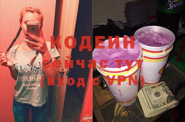 дживик Богородицк