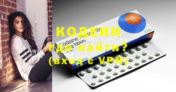 дживик Богородицк