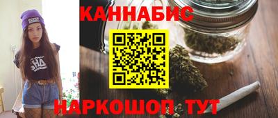 тгк Кингисепп