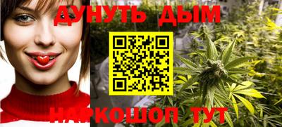 тгк Кингисепп