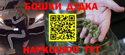 тгк Кингисепп