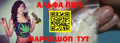 тгк Кингисепп